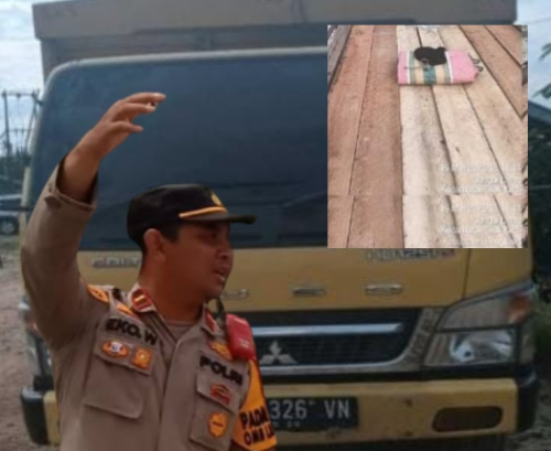 Dugaan Oknum TNI Pelaku Utama ilegal Logging di Siak Kecil hingga Perlindungan Dari Oknum Kapolsek, Profesi Terancam, KOMPLI Mengecam