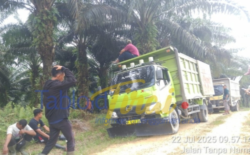 Lewat Mantan Pegawai Agrinas, Zulfendi CS Diduga Kuasai 600 Ha Kebun Sawit ilegal Berkedok KSO di Inhu, Perampokan Aset Negara ?