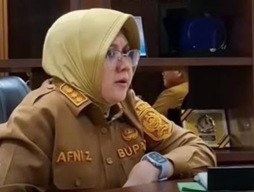 Afni Minta OPD Jangan Hanya Andalkan Dana Pusat, Harus Kreatif Hasilkan PAD