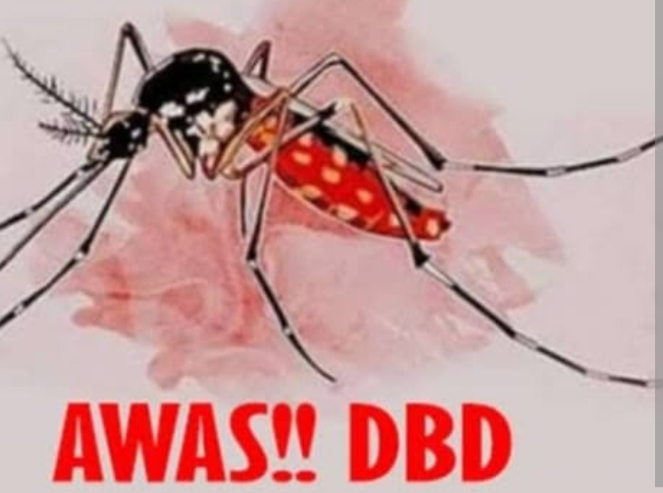 Waduh ! DBD di Pekanbaru Capai 392 Kasus, Payung Sekaki Tertinggi